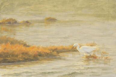 292 - Little Egret, incoming tide