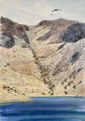 245 - Kestrels and Eagle, Loch Katrine