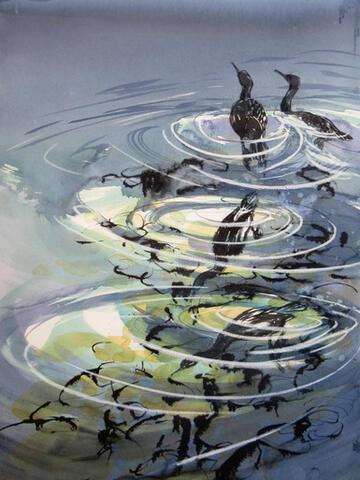 219 - Through shallow waters
