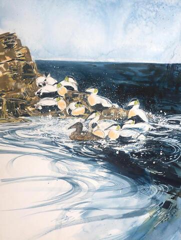 215 - Courting among the rocks