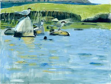 169 - Resting Terns, Scatness