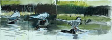 168 - Preening Terns