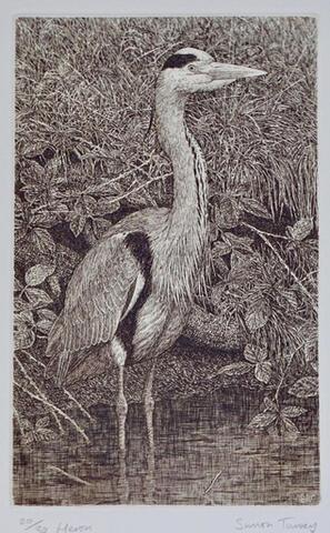 315 - Heron