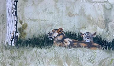 135 - African afternoon