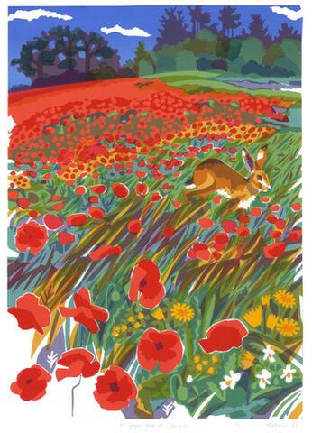 002 - A Poppy year at Stonepits, Little Massingham