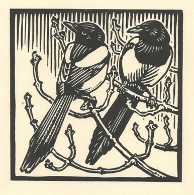 015 - Magpies, two for joy