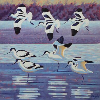 013 - Joining the flock, Avocets