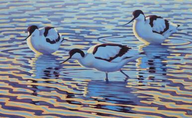 018 - Three Avocets at the creek