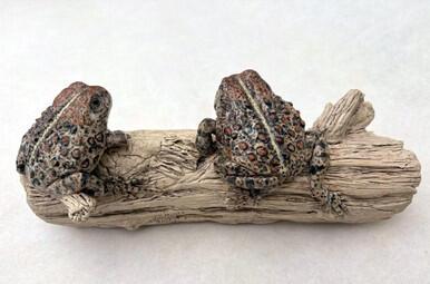 213 - Western American Toads