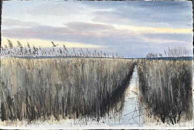 233 - Marsh Harrier at RSPB Greylake