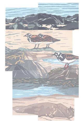 280 - Turnstones