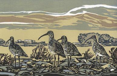 027 - Curlews big skies