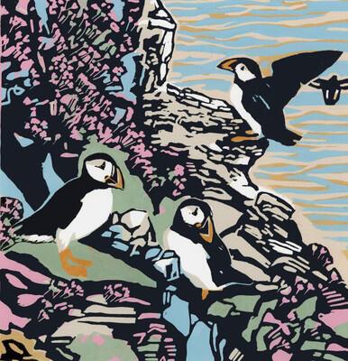 030 - Puffins