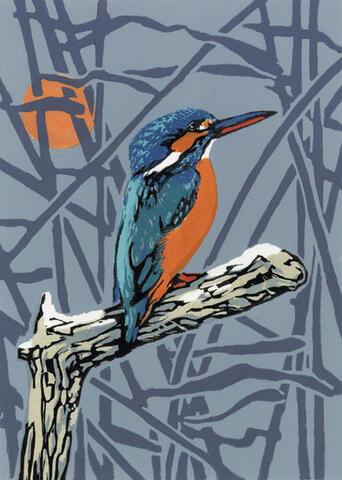 028 - Kingfisher