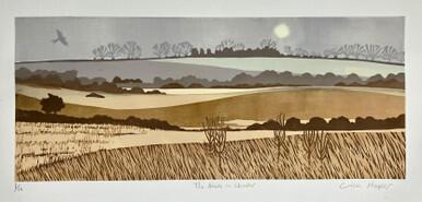 146 - The heath in Winter
