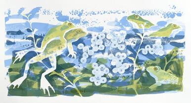 285 - Pond