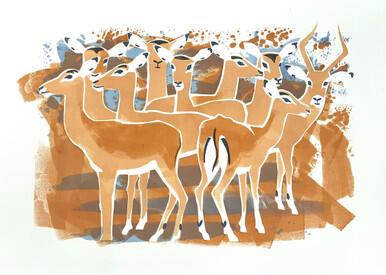 284 - Impala