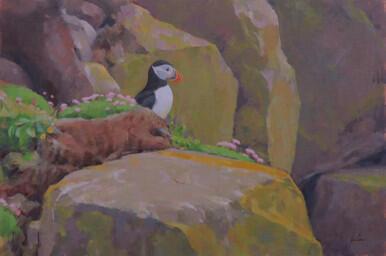 058 - Puffin near its burrow