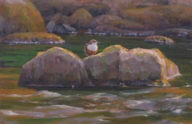 059 - River watcher