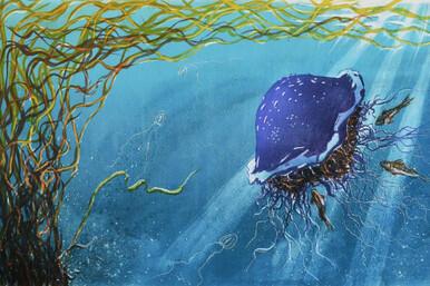 268 - Hope Cove blues