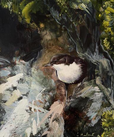 019 - Dipping and diving