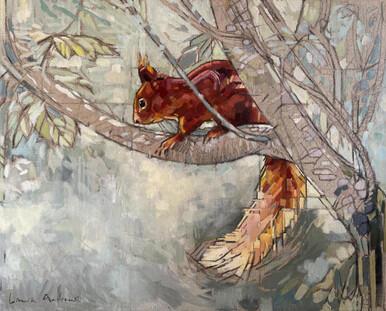 021 - Red Squirrel in Sycamore