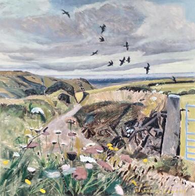 109 - Golden-ringed Dragonfly and Choughs