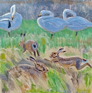 110 - Hares and Whooper Swans