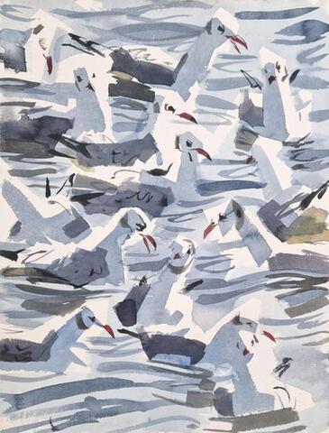 345 - BHG feeding frenzy III, Bro Odde, Bornholm