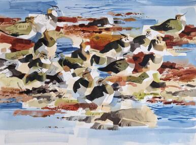 349 - Spring Lapwings resting on the shore, Nexø Sydstrand, Bornholm