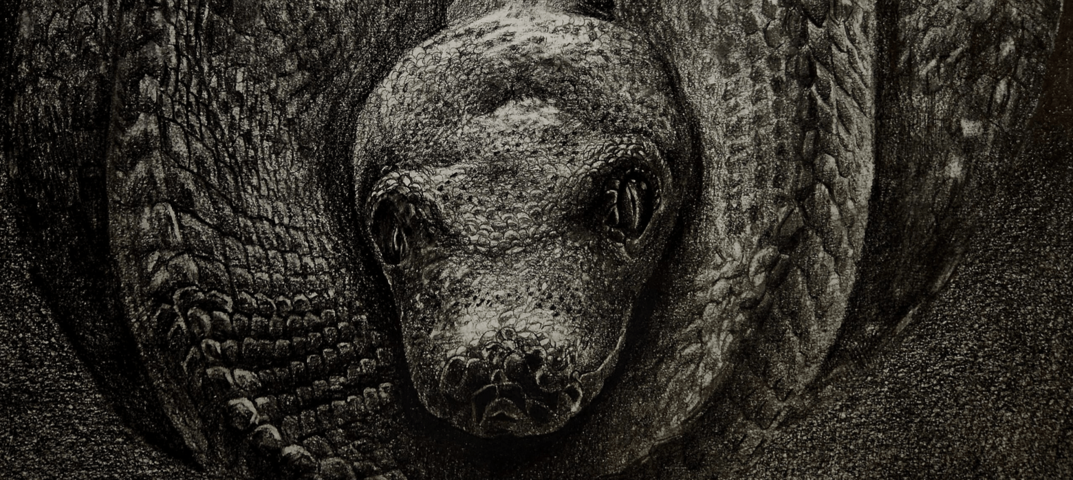 How to Crawl While Stuck in the Dark by Chun Sung Hyun