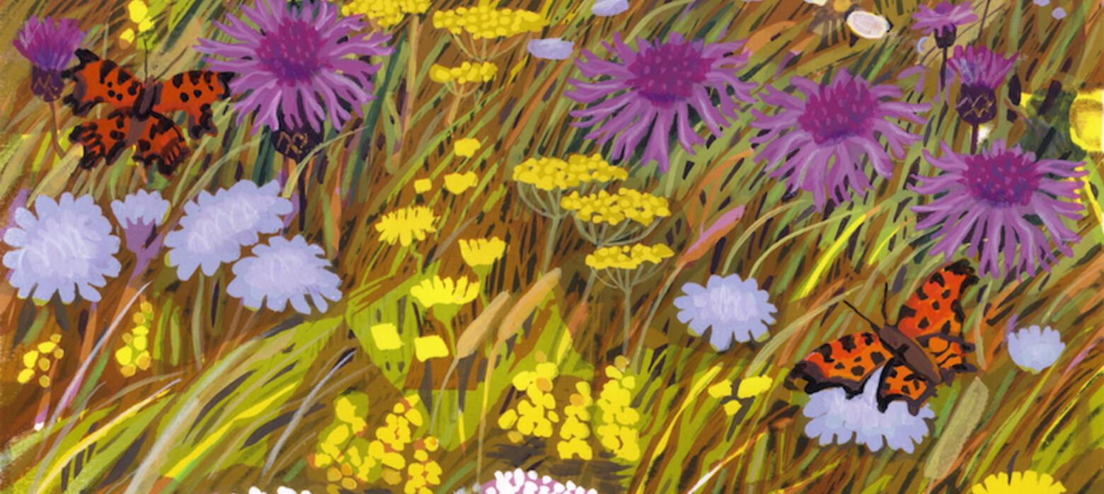 Carry Akroyd, On Massingham Heath