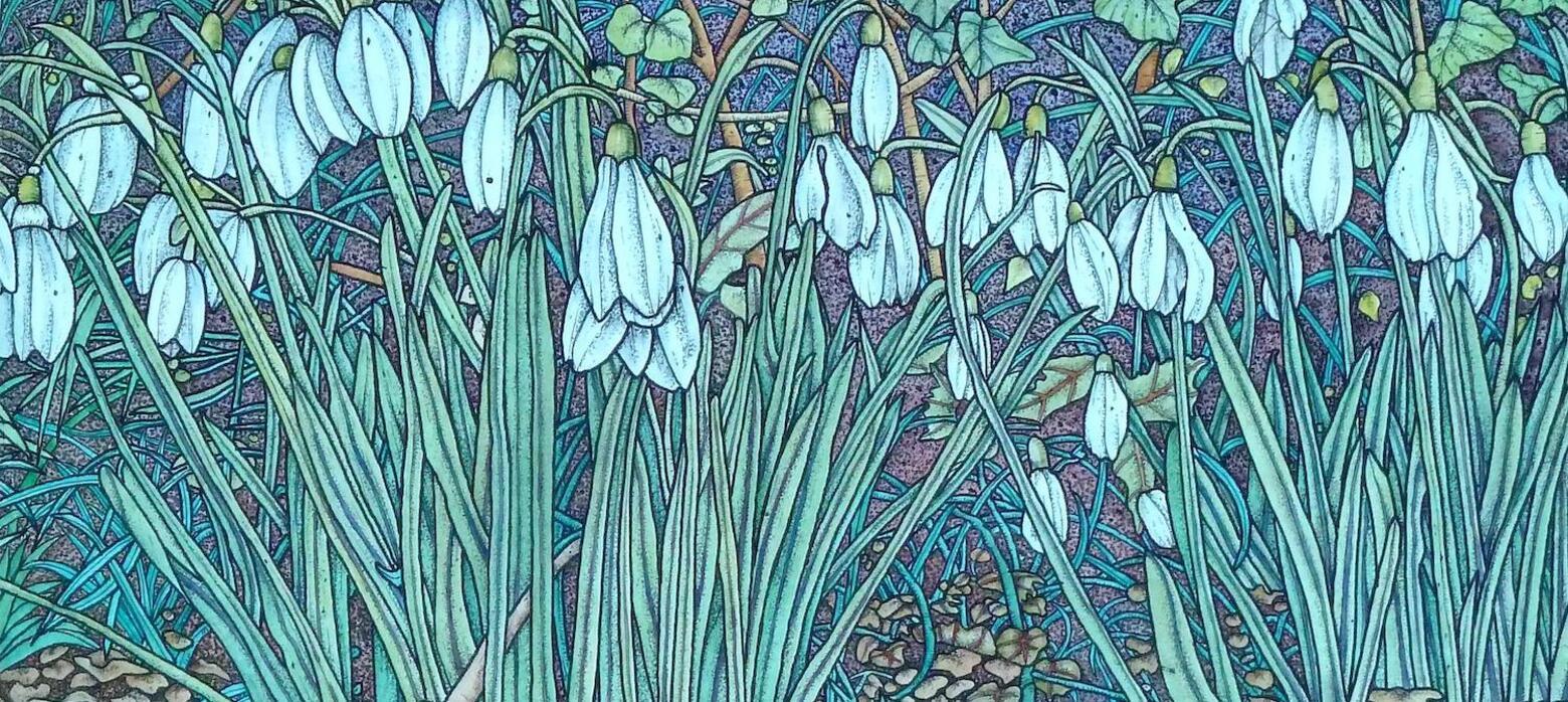 Meg Dutton, Snowdrops