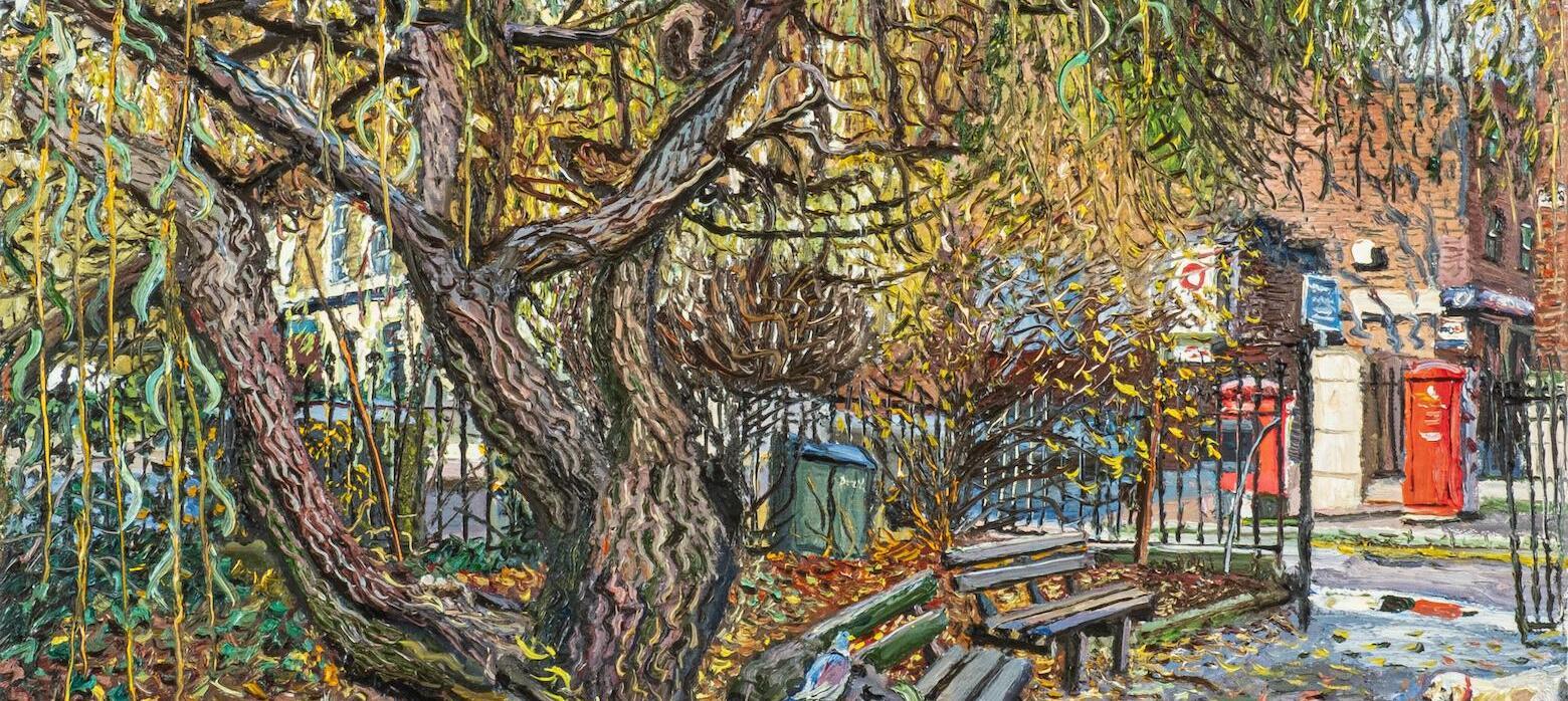 A Willow tree in Islington