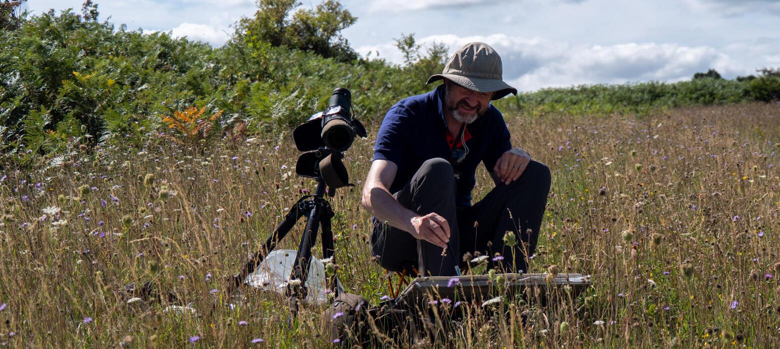 Artist paints in wildflower meadow with tripod