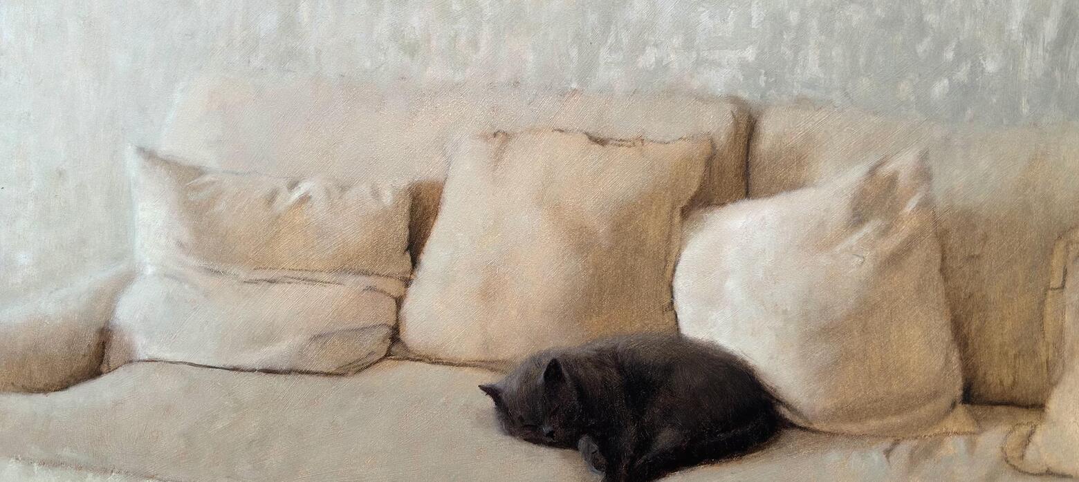 A small black cat curls up in the centre of a cream sofa