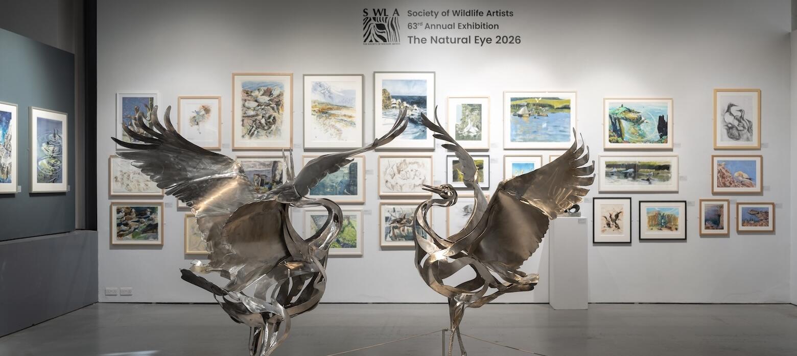Society of Wildlife Artists 2026