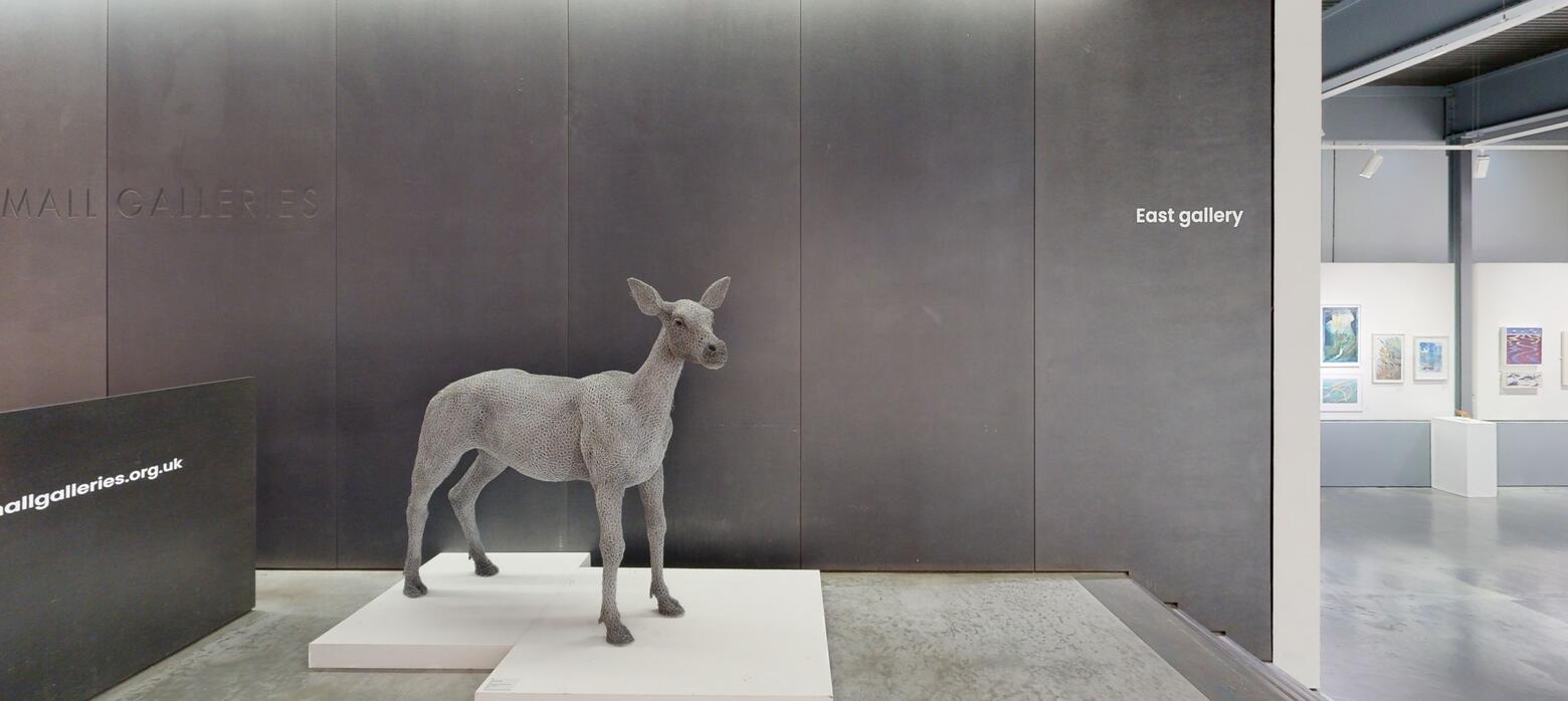 Society-of-Wildlife-Artists-The-Natural-Eye-2022-Office (7).jpg