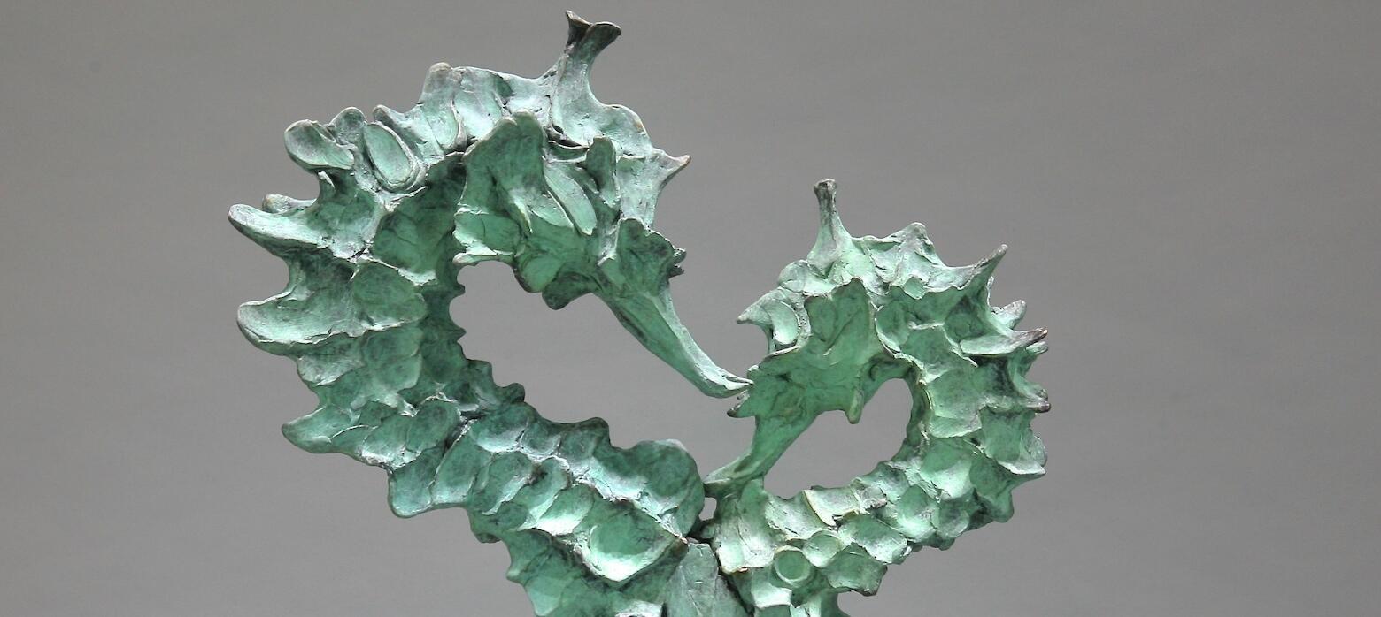 Andrzej Szymczyk, Seahorse Couple