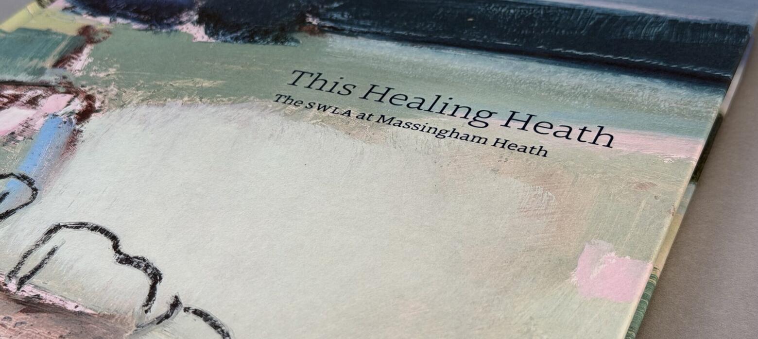 Photo of the cover of the book This Healing Heath