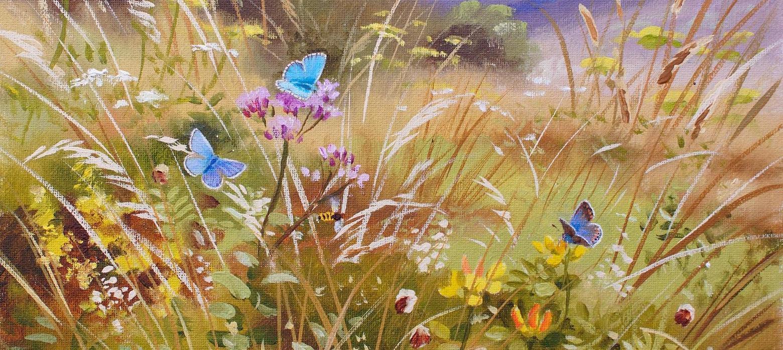 Butterflies in the landscape