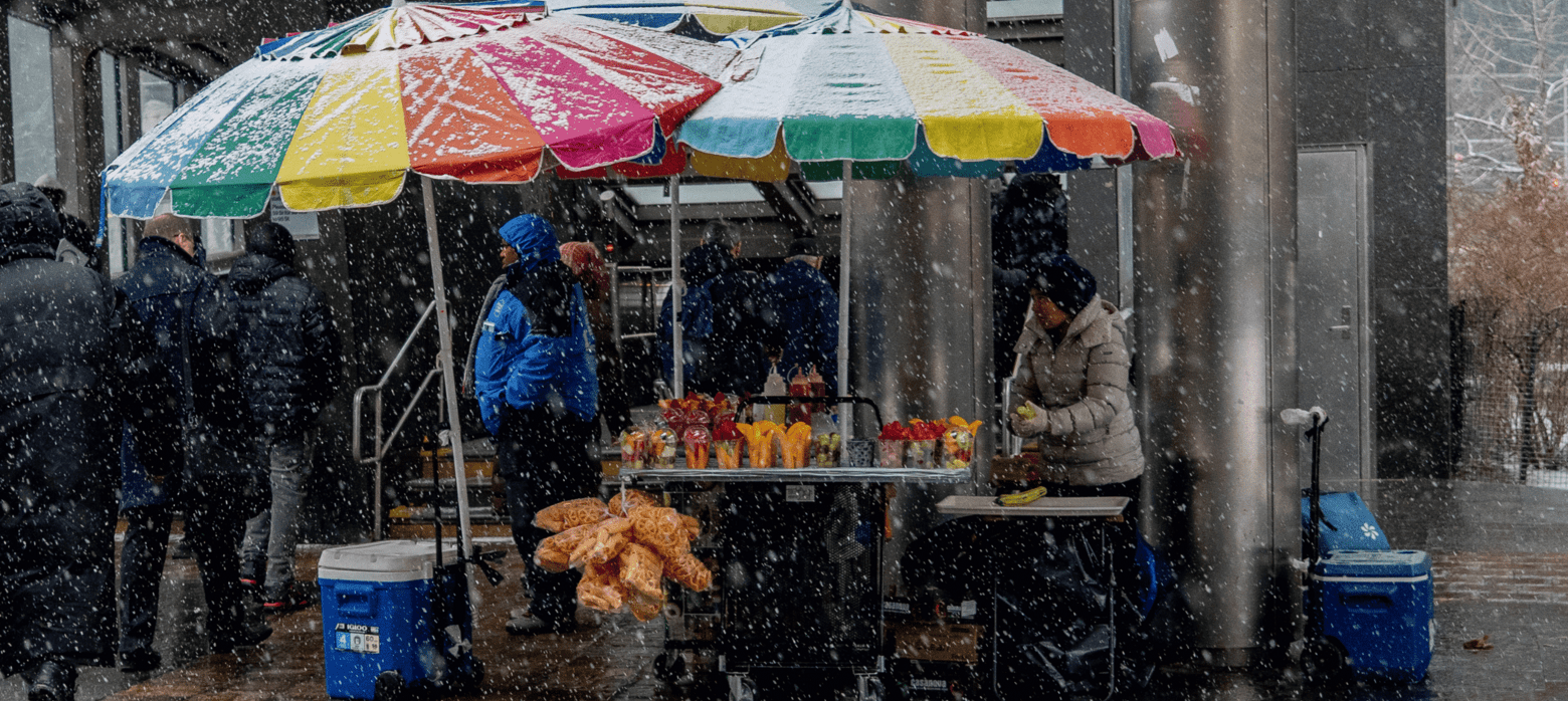 Tropical Fruits in Snowstorm 