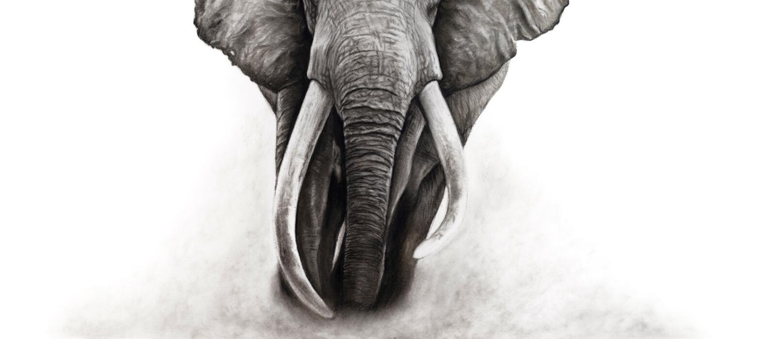 Art for Youth London 