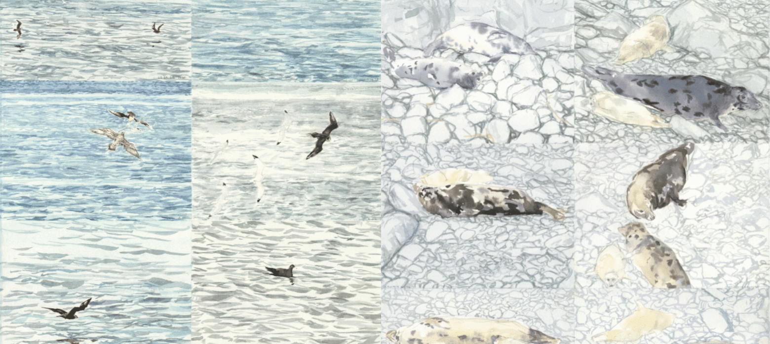Painting of birds and seals