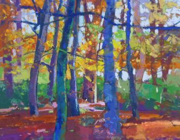 An autumnal woodland.