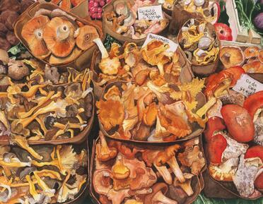 Alison Duquette, Ou de Reig