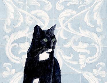 Monica Vitorino, Portrait of the Artist's Cat (Darth)