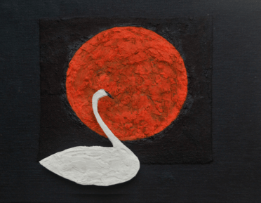 Cygnus by Simon Tarrant