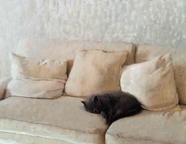 A small black cat curls up in the centre of a cream sofa