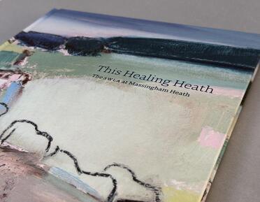 Photo of the cover of the book This Healing Heath